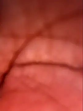 Samia Queen online show from October 4, 2025, 2:37 pm