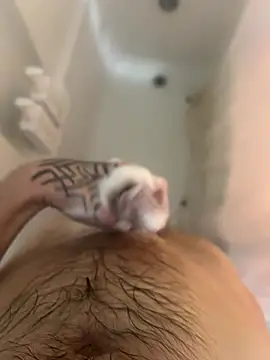 Snapshot of ThatTattooedGuy chatting on December 1, 2025, 8:52 am ThatTattooedGuy online show from December 1, 2025, 8:52 am