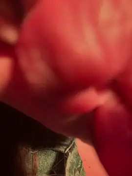 Im sophiie online show from February 13, 2025, 5:58 am