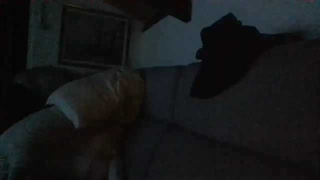 davigochi77bcn online show from February 20, 2026, 10:21 pm