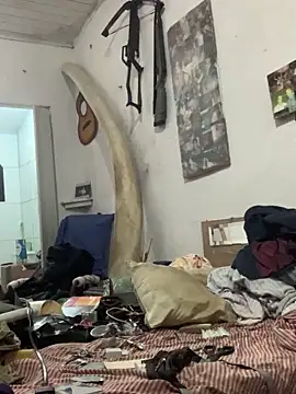 raphadoors19 online show from December 20, 2025, 4:52 am