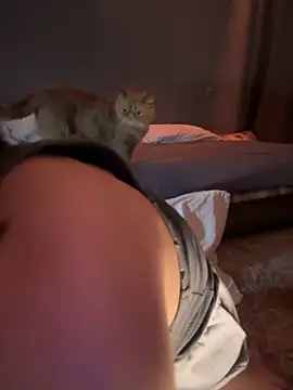 Snapshot of Bastet chatting on January 14, 2025, 9:51 pm Bastet online show from January 14, 2025, 9:51 pm