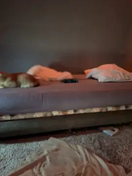 Snapshot of Bastet chatting on January 15, 2025, 7:34 pm Bastet online show from January 15, 2025, 7:34 pm