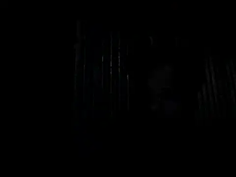 chittagong77 online show from October 13, 2025, 6:08 pm