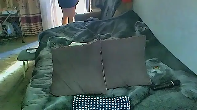 sex2 online show from September 27, 2025, 1:54 am