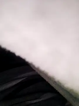 Pitercom online show from November 10, 2025, 8:41 pm