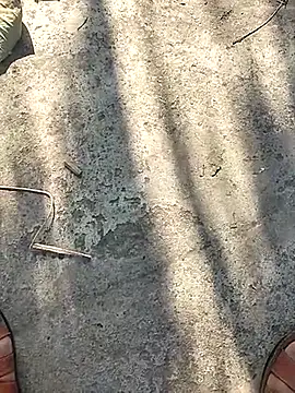 Pitercom online show from November 12, 2025, 9:10 am