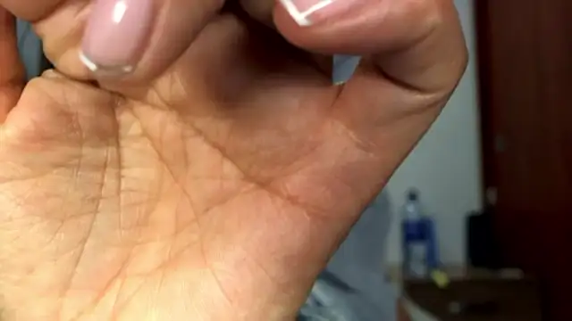 cjpq2525 online show from November 23, 2025, 3:50 am