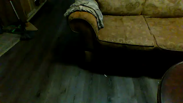 Yankeedave420 online show from January 29, 2025, 3:01 am