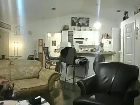 Yankeedave420 online show from February 17, 2025, 1:58 am