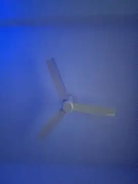 Snapshot of monabhabi22 chatting on February 24, 2025, 11:32 am monabhabi22 online show from February 24, 2025, 11:32 am