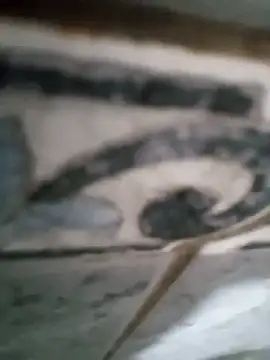 Junior013R online show from September 17, 2025, 7:15 pm