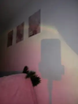 DulceLenns online show from January 11, 2026, 6:46 pm