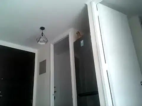 PenelopeSx online show from December 29, 2024, 1:06 pm