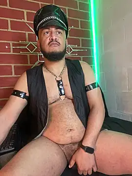 the master foal  online show from February 10, 2026, 3:27 pm