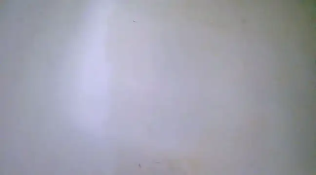 h0ney lips online show from February 23, 2025, 12:30 am