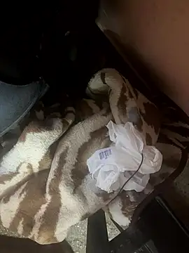 falooda288 online show from January 17, 2026, 8:41 am