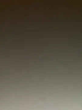 ToysRus24 online show from January 22, 2025, 8:28 pm