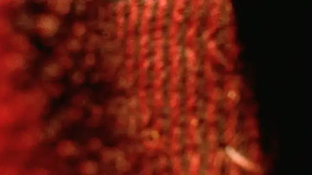 Snapshot of rockhead1971 chatting on October 18, 2025, 10:49 am rockhead1971 online show from October 18, 2025, 10:49 am