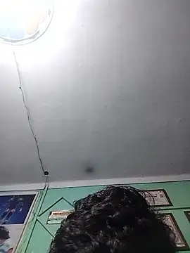 Snapshot of Suhailtyagi55 chatting on January 10, 2026, 12:51 pm Suhailtyagi55 online show from January 10, 2026, 12:51 pm