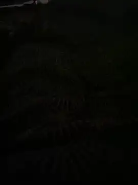 Snapshot of bomakrn chatting on November 3, 2025, 10:38 am bomakrn online show from November 3, 2025, 10:38 am