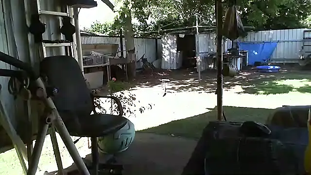 herbie010666 online show from December 22, 2024, 6:06 am