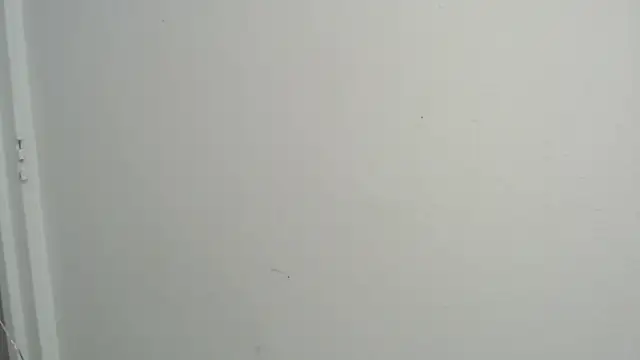 amy le01 online show from February 18, 2025, 4:37 pm