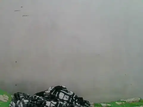 simplewild mom online show from September 18, 2025, 12:34 am