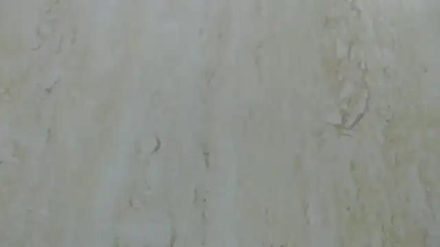 Snapshot of Crazy_team_ chatting on December 20, 2024, 3:31 pm Crazy team online show from December 20, 2024, 3:31 pm