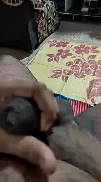 Snapshot of Swift2006 chatting on February 11, 2025, 4:11 am Swift2006 online show from February 11, 2025, 4:11 am