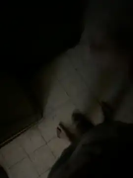 Snapshot of Dedoow chatting on April 6, 2026, 10:44 pm Dedoow online show from April 6, 2026, 10:44 pm