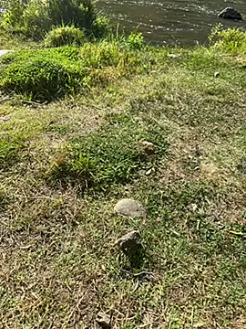 MAHKE12 online show from September 27, 2025, 11:15 am