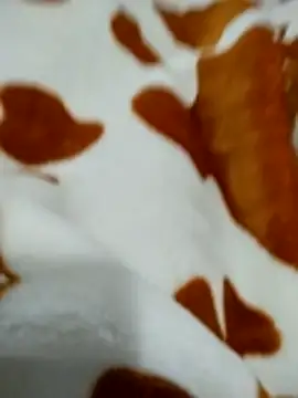 naghmi12 online show from April 18, 2026, 1:04 pm