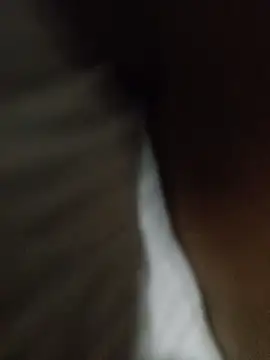 Taniyakuma online show from December 24, 2024, 3:16 pm