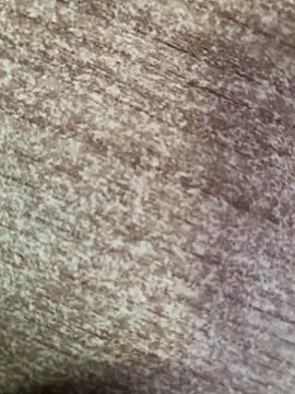 gokhanbey34 online show from October 8, 2025, 2:36 pm