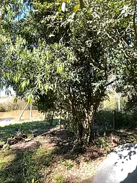 AliceStone19 online show from September 10, 2025, 5:24 pm