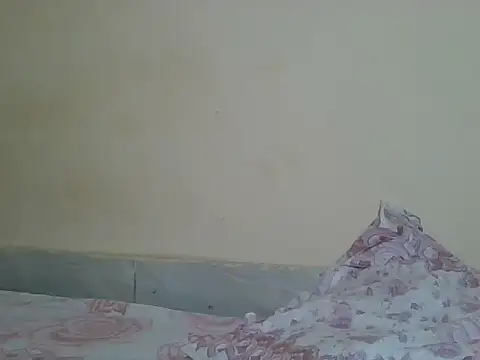 Snapshot of sexyjanett chatting on April 21, 2026, 5:50 pm sexyjanett online show from April 21, 2026, 5:50 pm