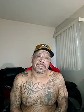 Snapshot of yellowwetfox chatting on February 3, 2026, 2:22 pm yellowwetfox online show from February 3, 2026, 2:22 pm