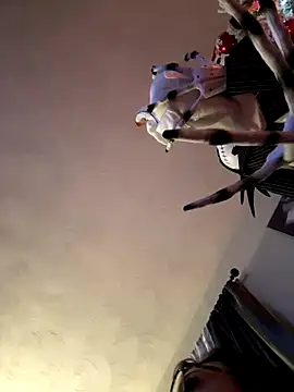 Snapshot of annablisss chatting on December 1, 2024, 11:25 pm annablisss online show from December 1, 2024, 11:25 pm