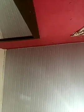 pimenta gaby online show from November 30, 2025, 12:20 pm