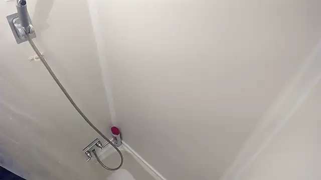 Snapshot of nosh456 chatting on February 14, 2026, 12:07 am nosh456 online show from February 14, 2026, 12:07 am