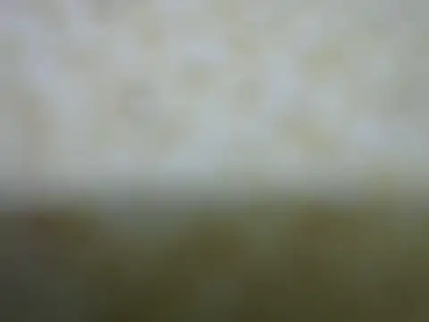 castistee online show from October 26, 2025, 10:36 pm