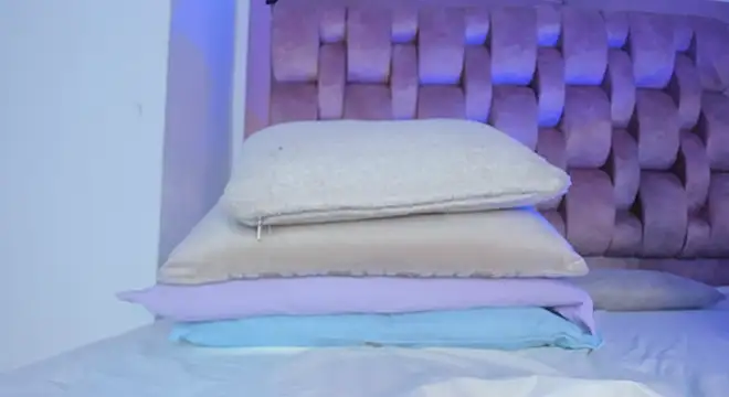 swt-booty online show from January 16, 2025, 12:34 am