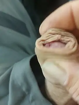 Snapshot of StarredAndrej chatting on November 7, 2025, 2:28 pm StarredAndrej online show from November 7, 2025, 2:28 pm