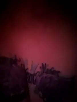 julimonroe online show from February 18, 2026, 10:22 am