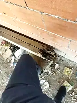 K-27 online show from October 5, 2025, 9:07 am