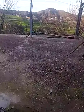 K-27 online show from February 18, 2026, 4:14 pm