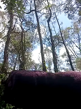 strollnrg069 online show from December 5, 2024, 2:31 am