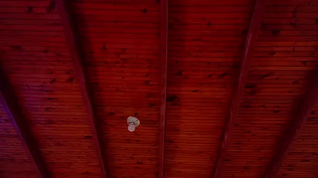 annie barozzi online show from October 18, 2025, 1:23 pm