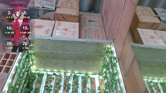 belindathompson online show from February 25, 2025, 9:24 pm